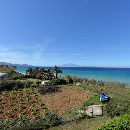 Galini Beach Villa Ammoudi Exterior foto